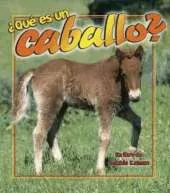 Que es un Caballo?