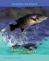 Down a River