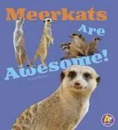 Meerkats are Awesome (Awesome African Animals!)