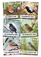 Enchanted Nature - Garden Birds Pack: Pack of Six Decodable Readers (Ages 5-7)