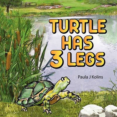 Turtle Has 3 Legs