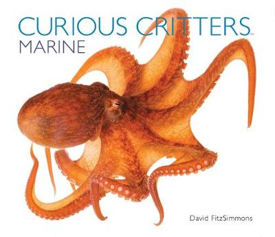 Curious Critters Marine