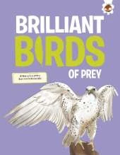 Brilliant Birds of Prey