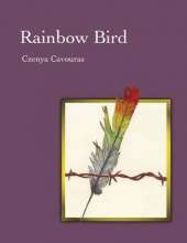 Rainbow Bird