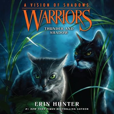 Warriors: a Vision of Shadows #2: Thunder and Shadow