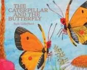 The Caterpillar and the Butterfly