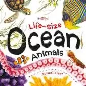 Life-size: Ocean Animals