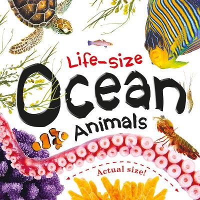 Life-size: Ocean Animals