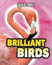 Brilliant Birds