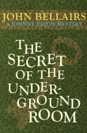 The Secret of the Underground Room