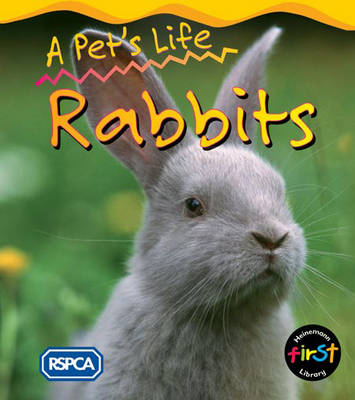 Rabbit