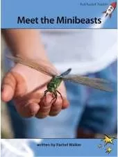 Red Rocket Readers: Advanced Fluency 4 Non-Fiction Set A: Meet the Minibeasts (Reading Level 30/F&P Level T)