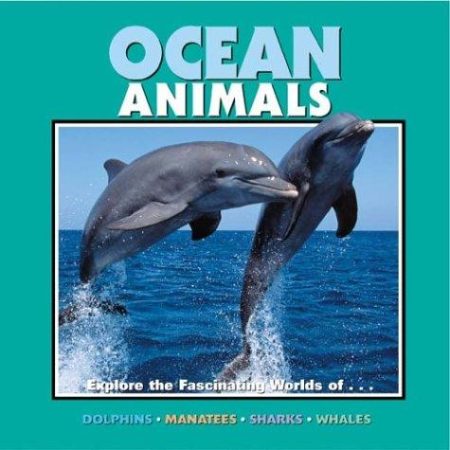 Ocean Animals: Exploring the Fascinating World of Sharks, Dolphins, Manatees and Whales