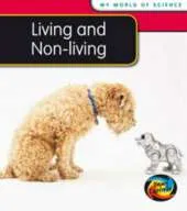 Living and Non-living