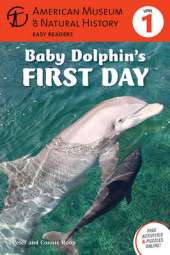 Baby Dolphin's First Day: (Level 1)