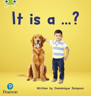 Bug Club Phonics - Phase 2 Unit 3: It is a ...?