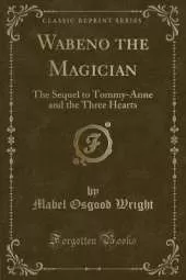 Wabeno the Magician: The Sequel to Tommy-Anne and the Three Hearts (Classic Reprint)