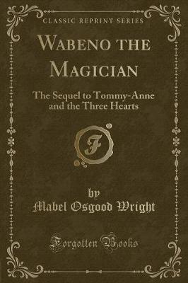 Wabeno the Magician: The Sequel to Tommy-Anne and the Three Hearts (Classic Reprint)