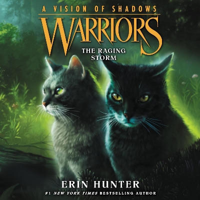 Warriors: a Vision of Shadows #6: the Raging Storm