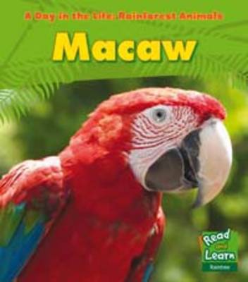 Rainforest Animals: Pack A of 4