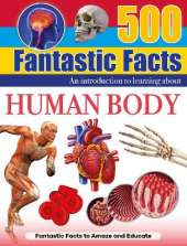 Human Body