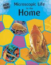Microscopic Life In Your Home
