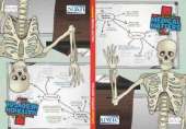 Materion Meddygol / Medical Matters