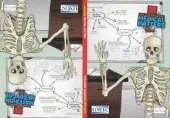 Materion Meddygol / Medical Matters