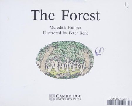The Forest
