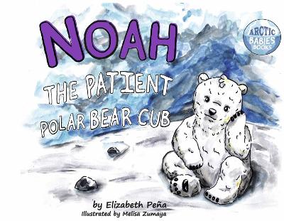 Noah The Patient Polar Bear Cub