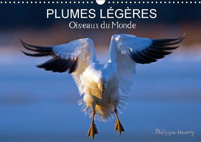Plumes Legeres. Oiseaux du Monde 2017: Treize Photos d'Oiseaux en Action, Photographies avec l'Oeil d'Artiste de Philippe Henry