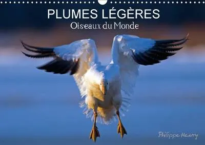 Plumes Legeres. Oiseaux du Monde 2017: Treize Photos d'Oiseaux en Action, Photographies avec l'Oeil d'Artiste de Philippe Henry