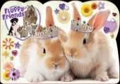 Bouncy Bunny: A Fluffy Friends Story Book