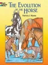 The Evolution of the Horse