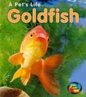 Goldfish