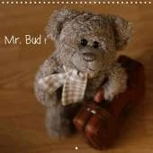 Mr. Bud, the cute bear 2020: Adventures of a cute teddy bear