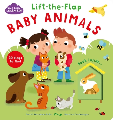 Start Little Learn Big Lift-the-Flap Baby Animals