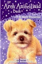 Y Ci Bach Chwareus