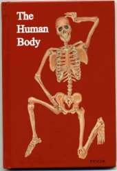 The Human Body