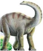 Diplodocus: Diplodocus