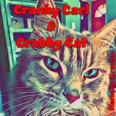 Cranky Carl & Crabby Cat