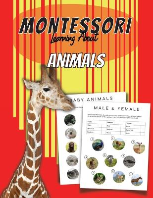 Montessori Learn About Animals: Games & Activities for Preschool, Pre-k and Kindergarten Learn about LANGUAGE, MATH, ANIMALS AND SHAPES