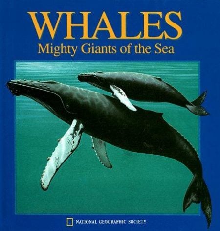 Whales: Mighty Giants of the Sea