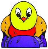Chick