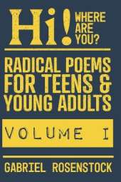 Hi! Where Are You?: Volume 1