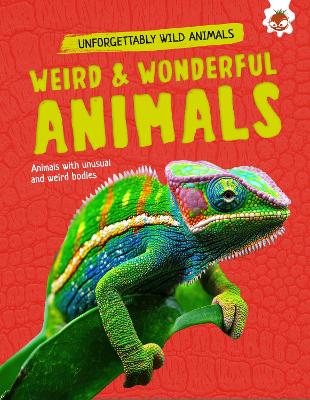 Weird and Wonderful Animals