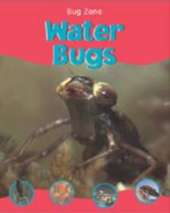 Water Bugs