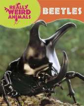 Really Weird Animals: Beetles