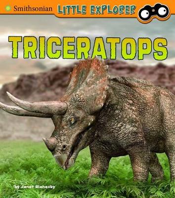 Little Paleontologist Triceratops