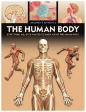 Human Body